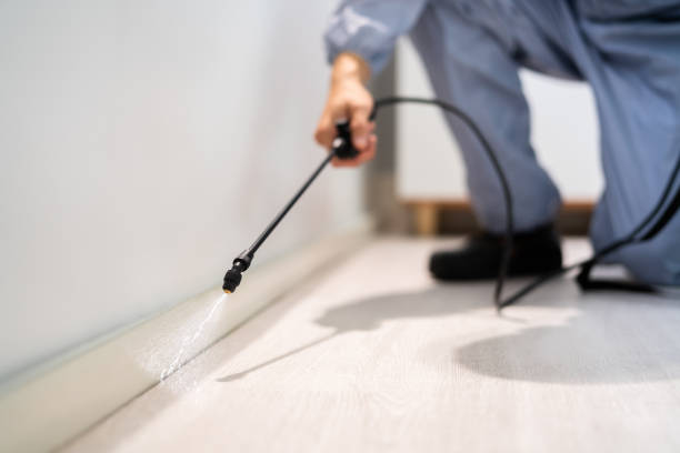 Certified termite inspector examining foundation in Asbury