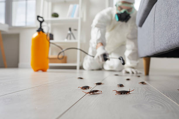 Commercial Rodent Management in Asbury